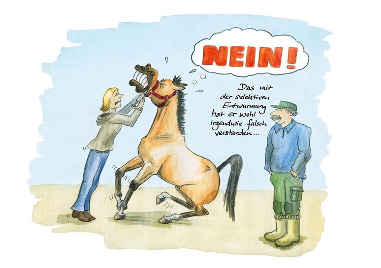 Produktbild: Noch mehr Geschichten vom Pferd