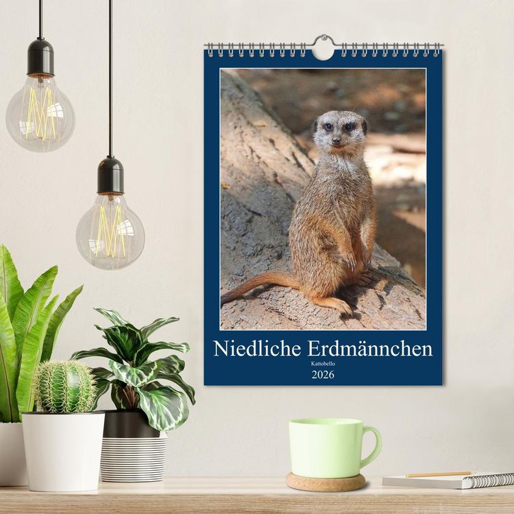 Produktbild: Niedliche Erdm&auml;nnchen (Wandkalender 2026 DIN A4 hoch), CALVENDO Monatskalender
