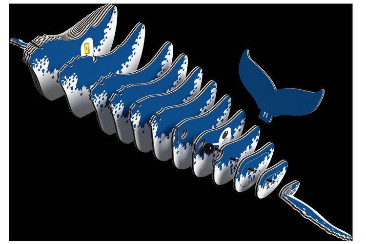 Produktbild: EUGY - 3D Bastelset Buckelwal