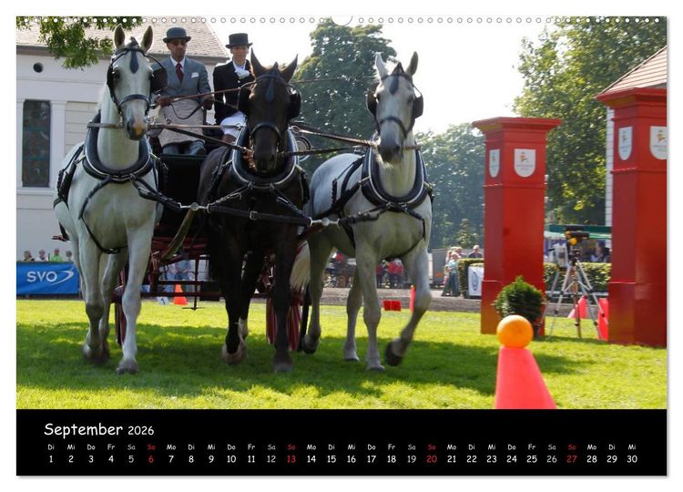 Produktbild: CIAT - Historischer Fahrsport in Celle (Wandkalender 2026 DIN A2 quer), CALVENDO Monatskalender