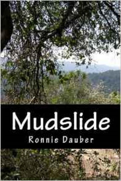 Produktbild: Mudslide (Sarah Davies, #1)