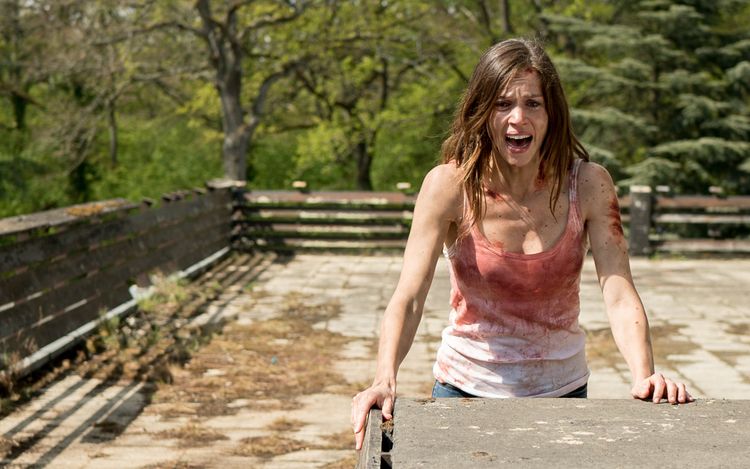 Produktbild: Final Cut of the Dead