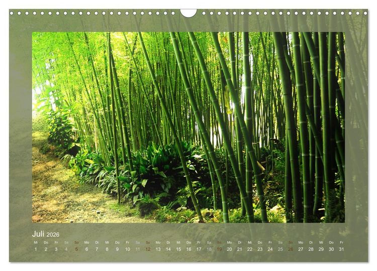 Produktbild: Bambus (Wandkalender 2026 DIN A3 quer), CALVENDO Monatskalender