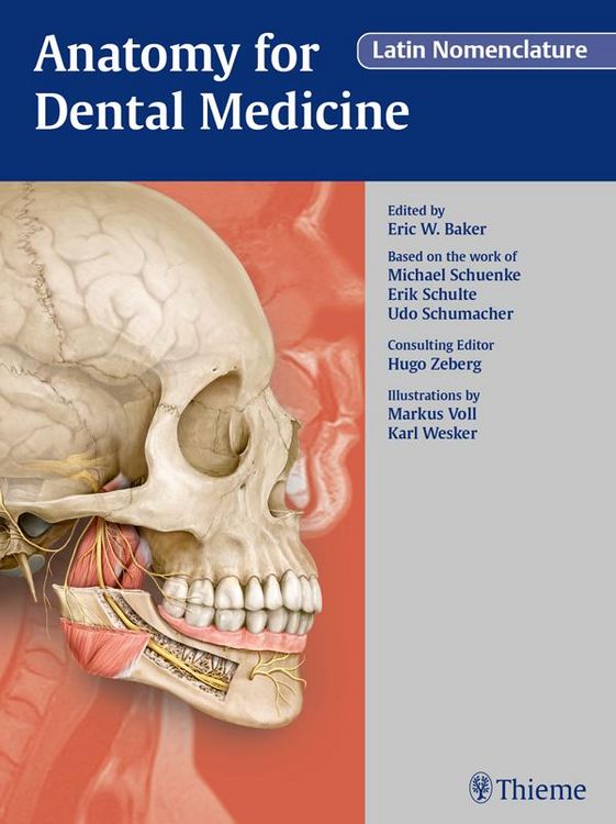 Produktbild: Anatomy for Dental Medicine, Latin Nomenclature