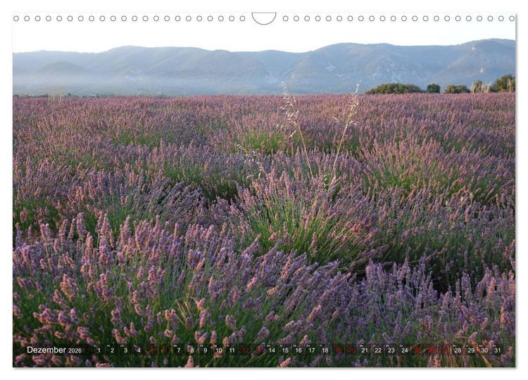 Produktbild: Lavendel. Der Duft der Provence (Wandkalender 2026 DIN A3 quer), CALVENDO Monatskalender
