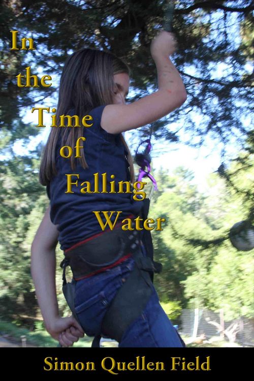 Produktbild: In the Time of Falling Water