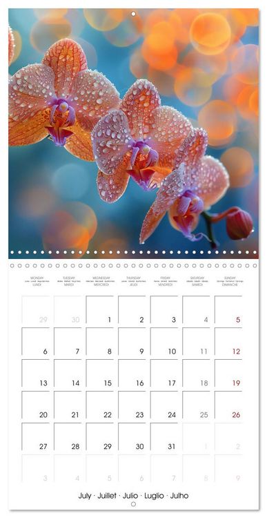 Produktbild: colorful orchid family planner (Wall Calendar 2026 12 &times; 12 Inch) CALVENDO 12 Month Wall Calendar