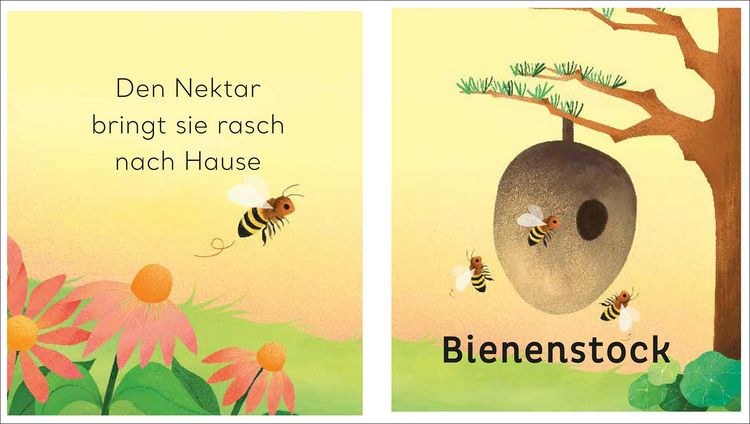 Produktbild: Eine kleine Welt im Garten