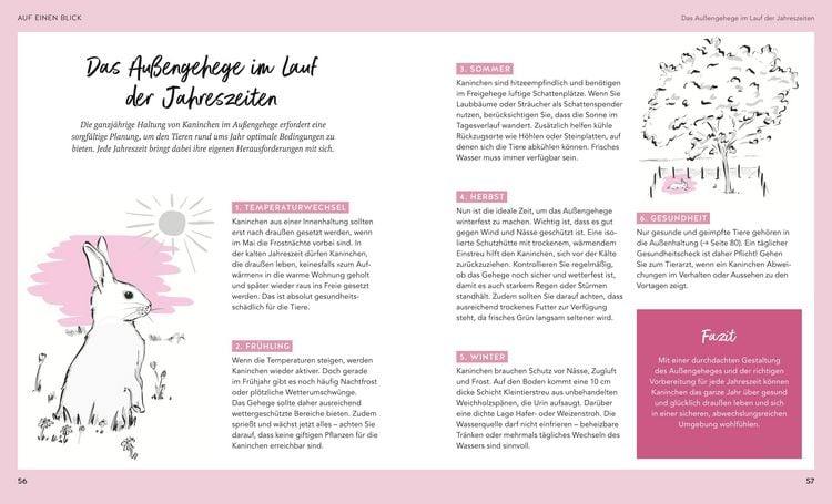 Produktbild: Kaninchen im Au&szlig;engehege