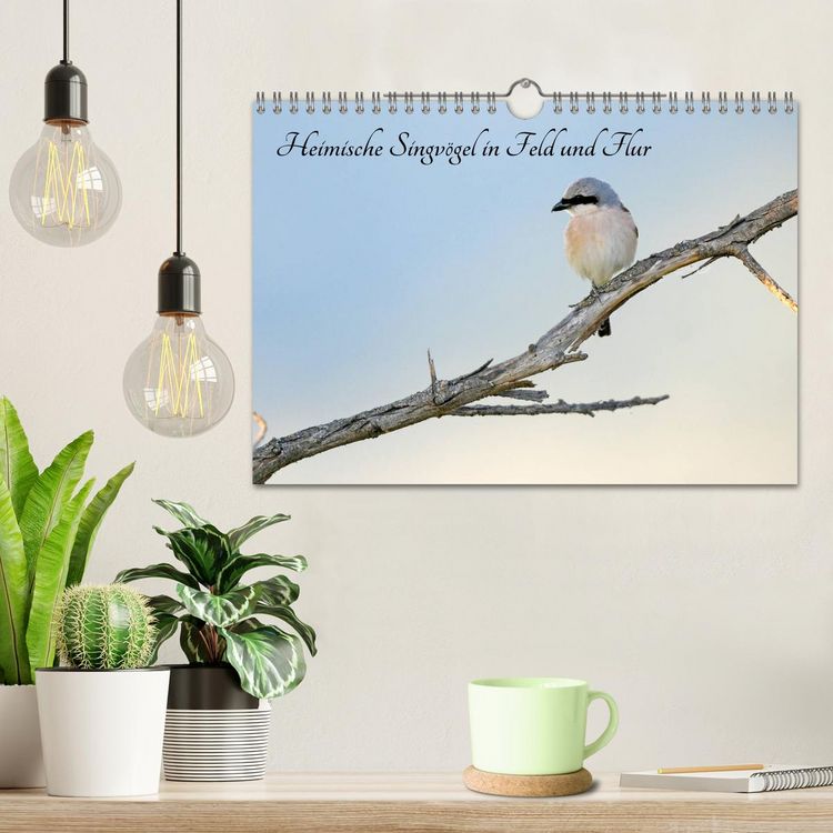 Produktbild: Heimische Singv&ouml;gel in Feld und Flur (Wandkalender 2026 DIN A4 quer), CALVENDO Monatskalender