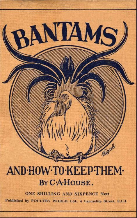 Produktbild: Bantams and How to Keep Them (Poultry Series - Chickens)