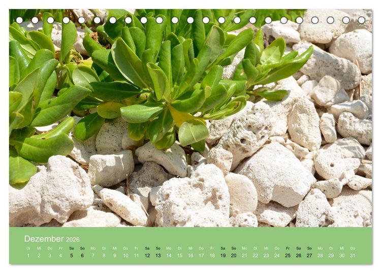 Produktbild: Mexiko - ein traumhaftes Paradies (Tischkalender 2026 DIN A5 quer), CALVENDO Monatskalender