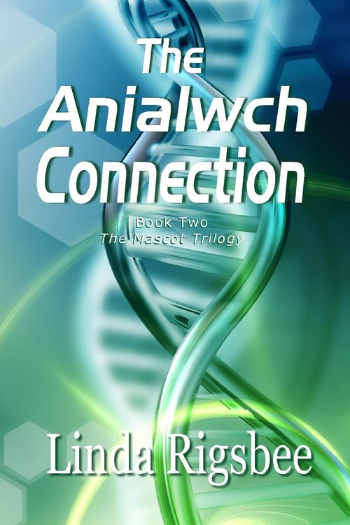 Produktbild: The Anialwch Connection