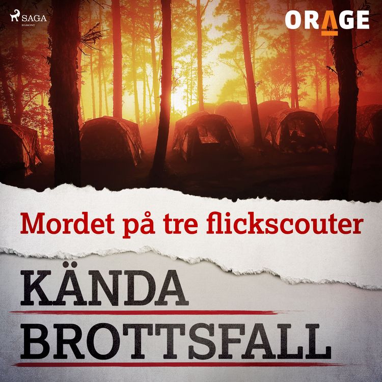 Produktbild: Mordet p&aring; tre flickscouter