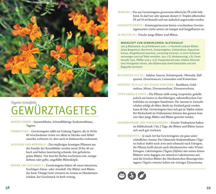 Produktbild: Kräuter