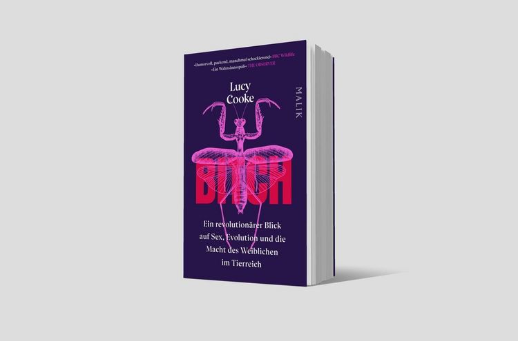 Produktbild: Bitch &ndash; Ein revolution&auml;rer Blick auf Sex, Evolution und die Macht des Weiblichen im Tierreich
