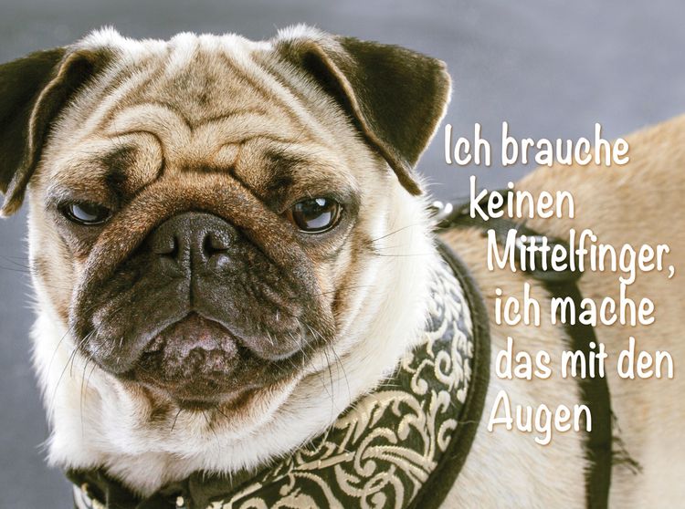 Produktbild: CALVENDO Puzzle Ich brauche keinen Mittelfinger, ich mache das mit den Augen. | 2000 Teile Lege-Gr&ouml;&szlig;e 90x67cm Foto-Puzzle f&uuml;r gl&uuml;ckliche Stunden