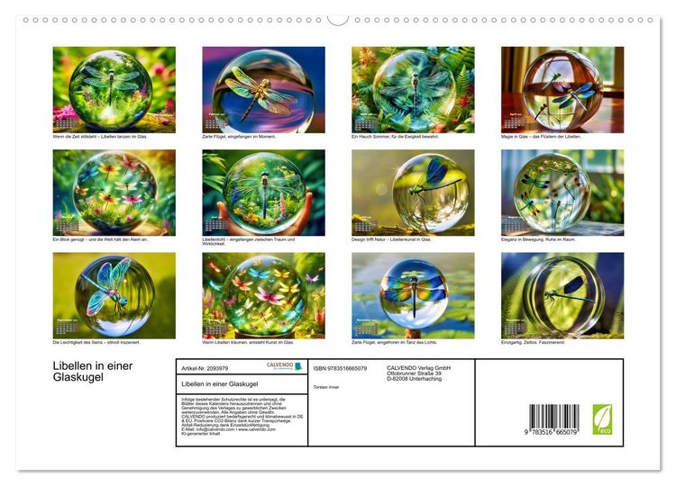 Produktbild: Libellen in einer Glaskugel (hochwertiger Premium Wandkalender 2026 DIN A2 quer), Kunstdruck in Hochglanz