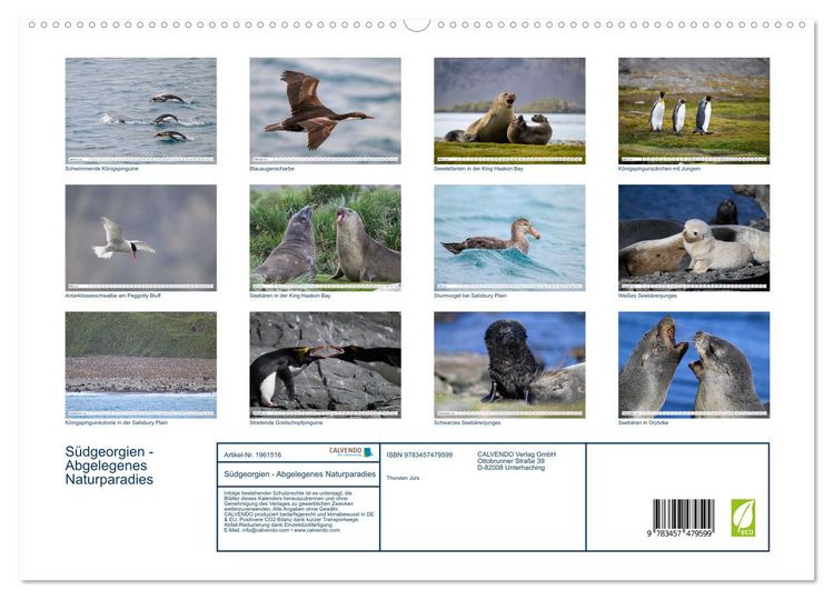Produktbild: S&uuml;dgeorgien - Abgelegenes Naturparadies (hochwertiger Premium Wandkalender 2026 DIN A2 quer), Kunstdruck in Hochglanz