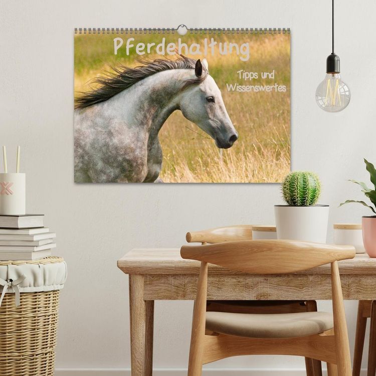 Produktbild: Pferdehaltung Tipps und Wissenswertes (Wandkalender 2027 DIN A3 quer), CALVENDO Monatskalender