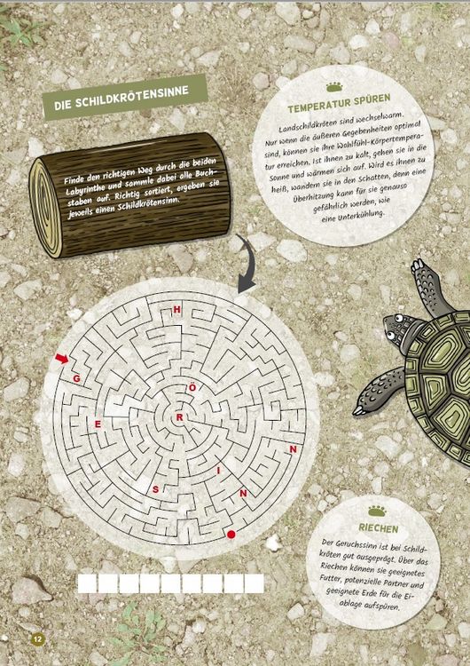 Produktbild: Faszination Schildkr&ouml;te - das besondere R&auml;tsel-, Mal- und Wissensbuch