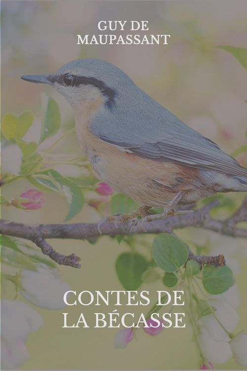 Produktbild: Contes de la b&eacute;casse