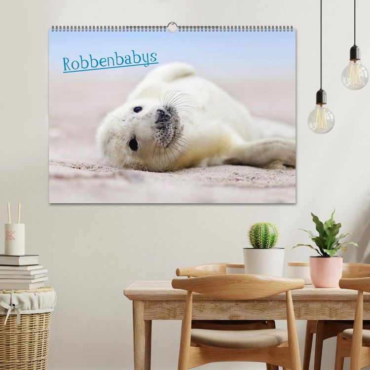 Produktbild: Robbenbabys (Wandkalender 2026 DIN A2 quer), CALVENDO Monatskalender
