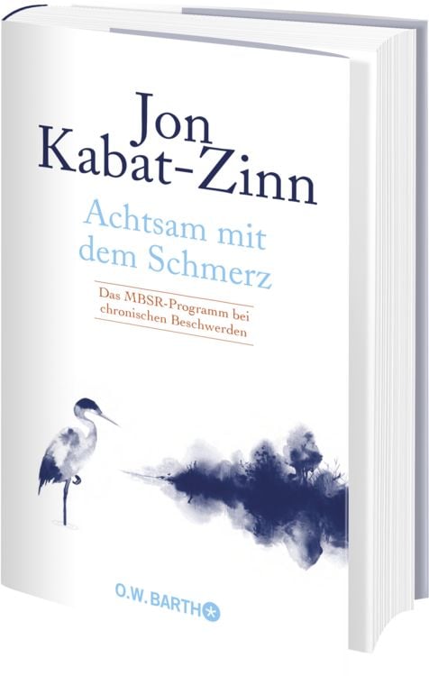 Produktbild: Achtsam mit dem Schmerz