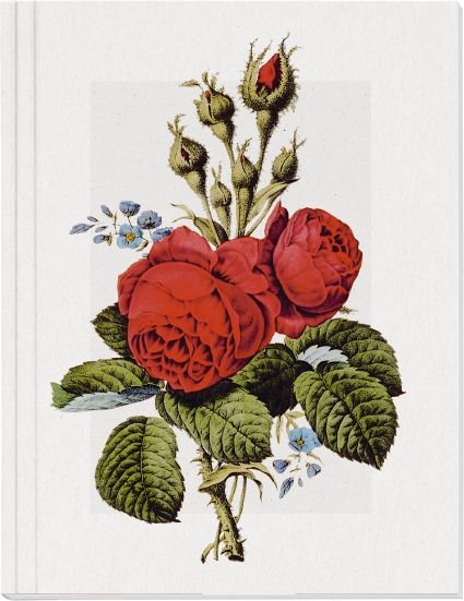 Produktbild: Geschichte der Rose Gro&szlig;es Notizheft Motiv Moosrose