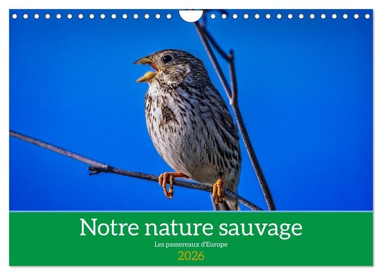 Produktbild: Notre nature sauvage, les passereaux d'Europe (Calendrier mural 2026 DIN A4 vertical), CALVENDO calendrier mensuel