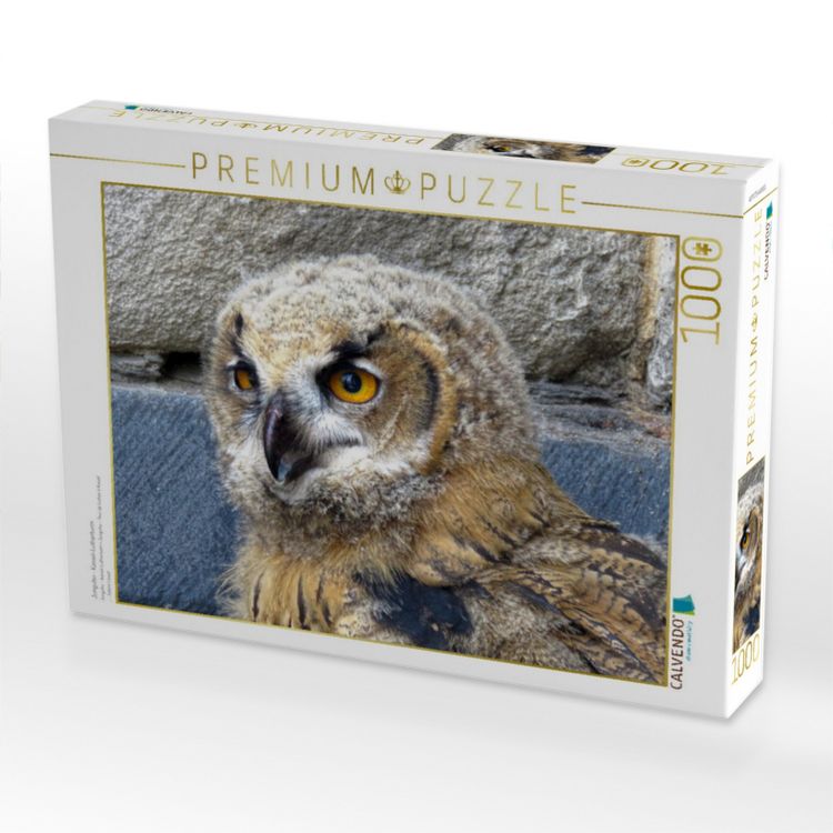 Produktbild: CALVENDO Puzzle Junguhu - Kassel-Lutherturm | 1000 Teile Lege-Gr&ouml;&szlig;e 64x48cm Foto-Puzzle f&uuml;r gl&uuml;ckliche Stunden