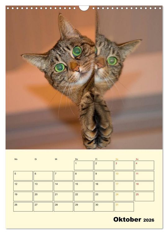 Produktbild: K&auml;tzchen - Theater (Wandkalender 2026 DIN A3 hoch), CALVENDO Monatskalender