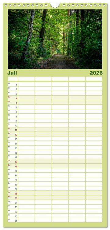 Produktbild: Familienplaner 2026 - Wege des einfachen Gl&uuml;cks - Spazierg&auml;nge im Wald mit 5 Spalten (Wandkalender, 21 x 45 cm) CALVENDO