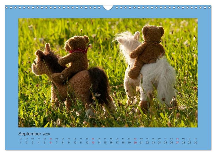 Produktbild: Teddys Meine Freunde (Wandkalender 2026 DIN A3 quer), CALVENDO Monatskalender