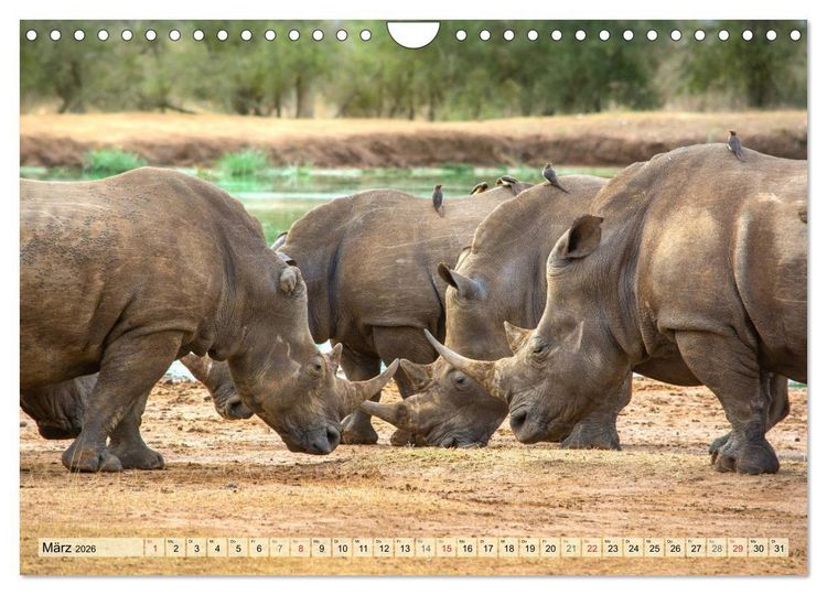 Produktbild: Eswatini - K&ouml;nigreich im s&uuml;dlichen Afrika (Wandkalender 2026 DIN A4 quer), CALVENDO Monatskalender