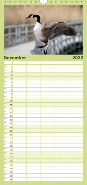 Produktbild: KANADA-GANS - Der 'hupende' Vogel - Familienplaner hoch (Wandkalender 2022 , 21 cm x 45 cm, hoch)