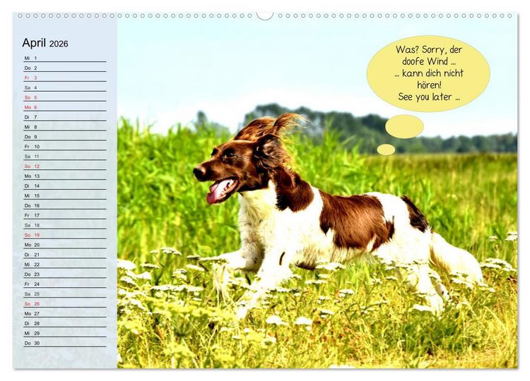Produktbild: Hurra! Wir gehen Gassi! Abenteuer mit dem Hund! (Wandkalender 2026 DIN A2 quer), CALVENDO Monatskalender