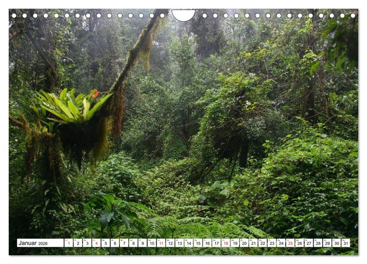 Produktbild: Madagaskar (Wandkalender 2026 DIN A4 quer), CALVENDO Monatskalender