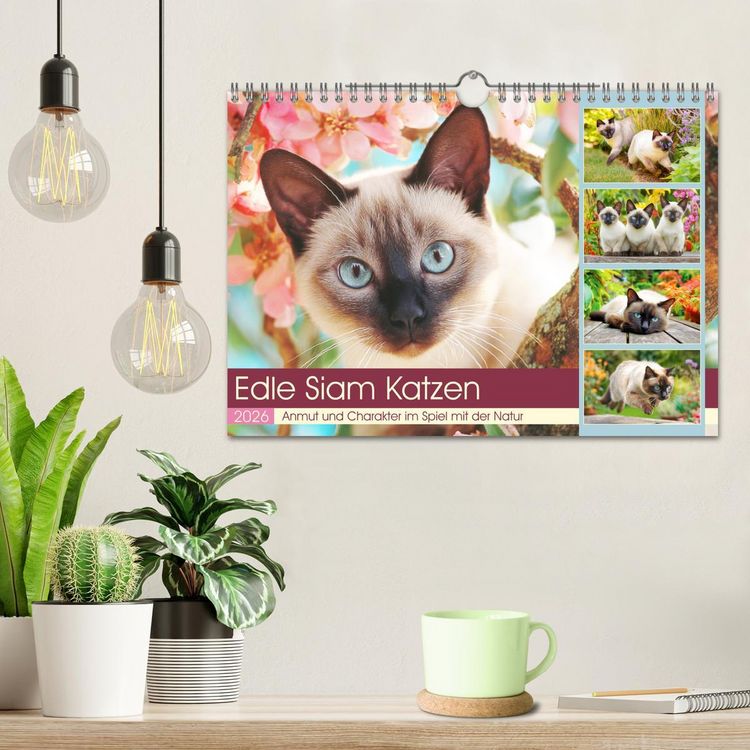 Produktbild: Edle Siamkatzen. Anmut und Charakter im Spiel mit der Natur (Wandkalender 2026 DIN A4 quer), CALVENDO Monatskalender
