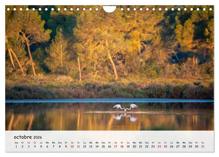 Produktbild: Majorque - Une &icirc;le &agrave; couper le souffle en M&eacute;diterran&eacute;e (Calendrier mural 2026 DIN A4 vertical), CALVENDO calendrier mensuel