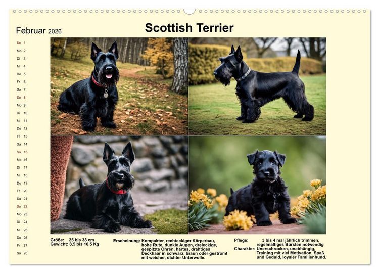 Produktbild: Terrier-Rassen im Portrait (hochwertiger Premium Wandkalender 2026 DIN A2 quer), Kunstdruck in Hochglanz
