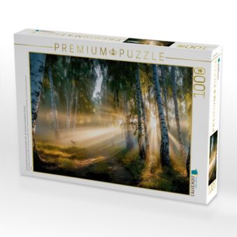 Produktbild: CALVENDO Puzzle Sonnenstrahlen durchdringen den Birkenwald - der Tag beginnt mit goldenem Fl&uuml;stern | 1000 Teile Lege-Gr&ouml;&szlig;e 64x48cm Foto-Puzzle f&uuml;r gl&uuml;