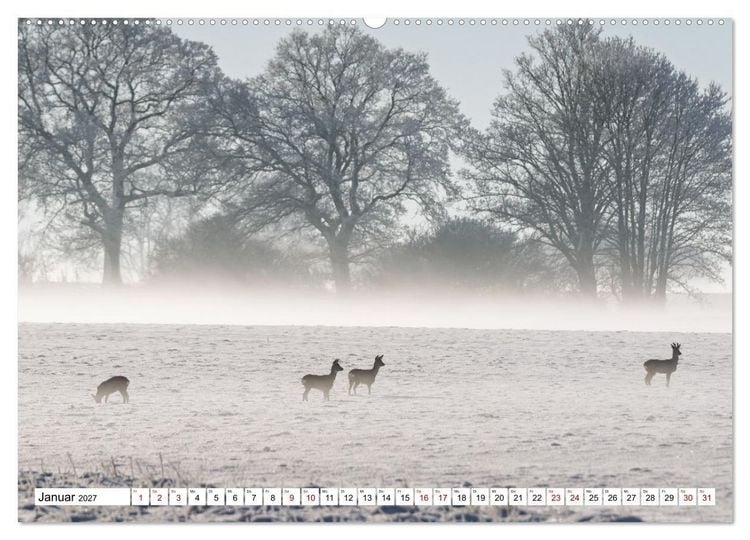 Produktbild: Wildtiere im M&uuml;ritz-Nationalpark (Wandkalender 2027 DIN A2 quer), CALVENDO Monatskalender