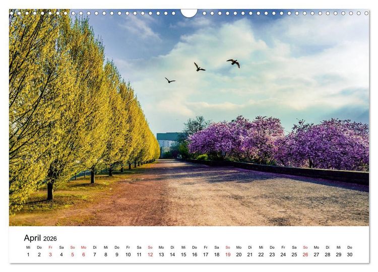 Produktbild: Kassel - Morgenlicht (Wandkalender 2026 DIN A3 quer), CALVENDO Monatskalender
