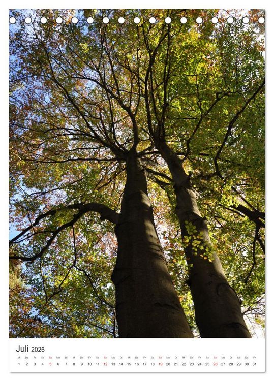 Produktbild: Faszination der Farben im Naturpark Lappwald (Tischkalender 2026 DIN A5 hoch), CALVENDO Monatskalender