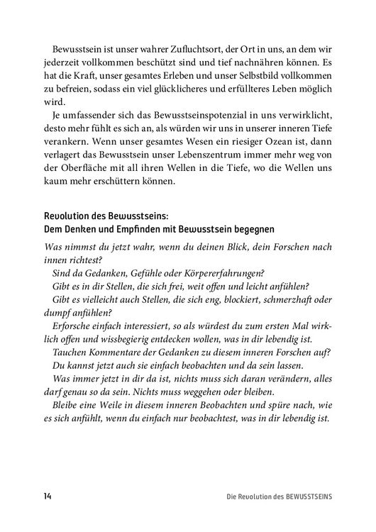 Produktbild: Die Revolution des Bewusstseins