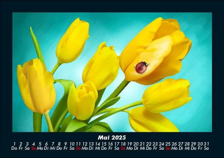 Produktbild: Blumentr&auml;ume 2025 Fotokalender DIN A5
