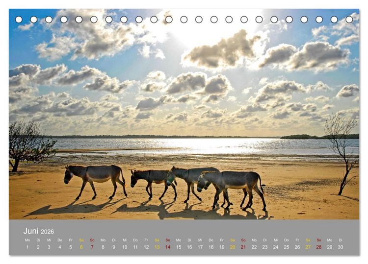Produktbild: Lamu - Geheimtipp in Kenia (Tischkalender 2026 DIN A5 quer), CALVENDO Monatskalender