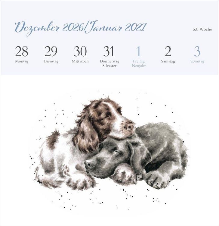 Produktbild: Hannah Dale: Happy Animals Premium-Postkartenkalender 2027