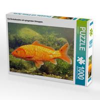 Produktbild: CALVENDO Puzzle Koi Brokatkarpfen mit spiegelnden Schuppen. 1000 Teile Puzzle quer | 1000 Teile Lege-Gr&ouml;&szlig;e 64 &times; 48 cm Foto-Puzzle f&uuml;r gl&uuml;ckliche Stunden